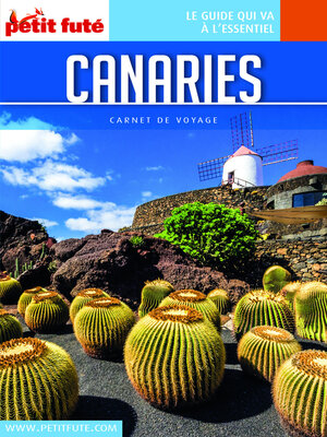 cover image of CANARIES 2018 Carnet Petit Futé